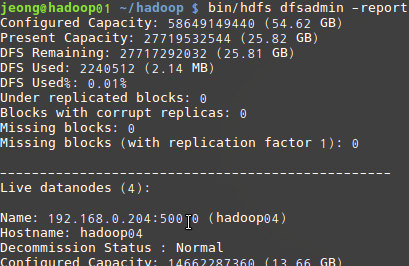 bin/hdfs dfsadmin -report 실행 결과